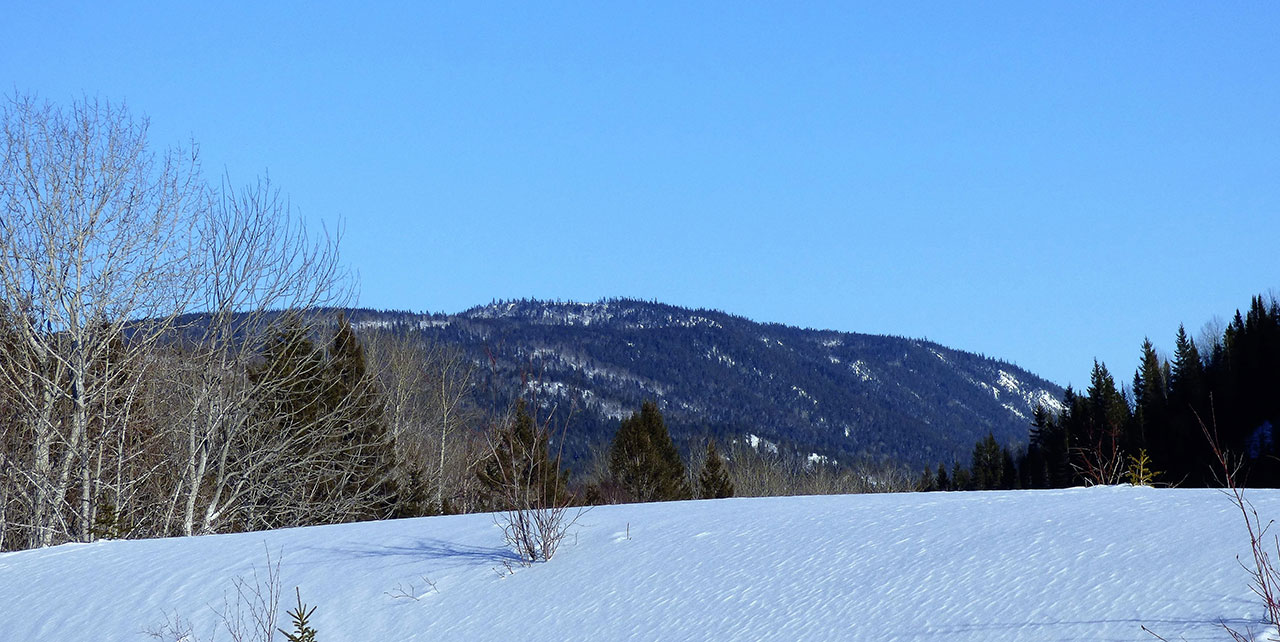 Mont Charles-Édouard- Vézina