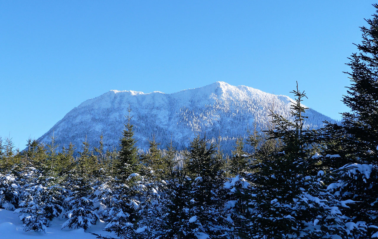 Mont Craggy